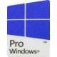 Windows 10 Pro License